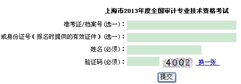 上海职业能力考试院：2013年审计专业考试准考证打印入口